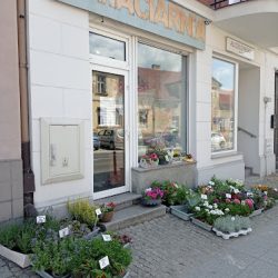 Kwiaciarnia Poznańska 7 (Murowana Goślina en Merlo San Luis)