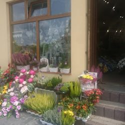 Kwiaciarnia. Pracownia Florystyczna 