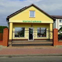 Kwiaciarnia Primula (Dwikozy en Merlo San Luis)