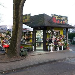 Kwiaciarnia Protea (Oleśnica )