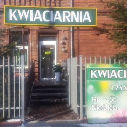 Kwiaciarnia Protea (Malbork )
