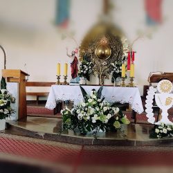 Kwiaciarnia Przeworsk Zielono Mi Anna Kucab-sykała (Przeworsk )