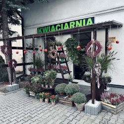 Kwiaciarnia Przy Starej Drodze (Suchy Las en Merlo San Luis)