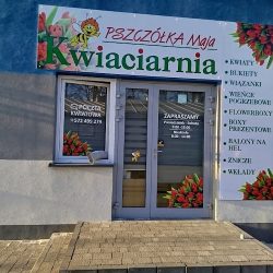 Kwiaciarnia Pszczółka Maja (Winnica )