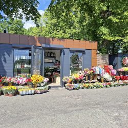 Kwiaciarnia Raf-stel Przy Cmentarzu (Wołów )