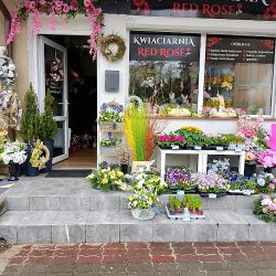 Kwiaciarnia Red Rose (Bydgoszcz )