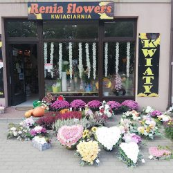 Kwiaciarnia Renia Flowers (Pieniężno )