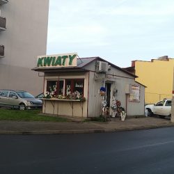 Kwiaciarnia Rikka (Włocławek )
