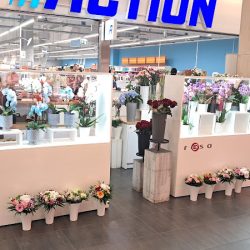 Kwiaciarnia Rosa (Wrocław )