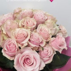 Kwiaciarnia Rosa (Białystok )