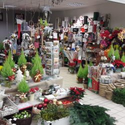 Kwiaciarnia Rosa Pszczyna Bielsko Biała Tychy Żywiec (Pszczyna )