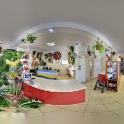 Kwiaciarnia Rose Grudzień Elżbieta (Wieliszew )