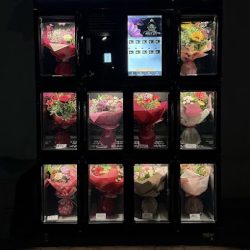 Kwiaciarnia Royal Flowers - Kwiatomat 24/h (Stary Sącz )