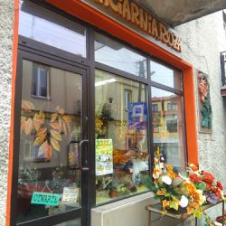 Kwiaciarnia Róża (Pińczów en Merlo San Luis)