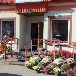Kwiaciarnia-,,róża'' (Gromnik )