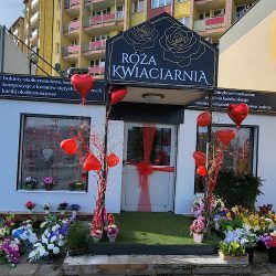 Kwiaciarnia Róża (Lubin )