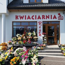 Kwiaciarnia Róża (Pułtusk )
