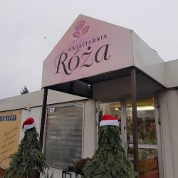 Kwiaciarnia Róża B.w Paul (Jarocin en Merlo San Luis)