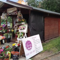 Kwiaciarnia Róża I Ja (Siemianowice Śląskie )