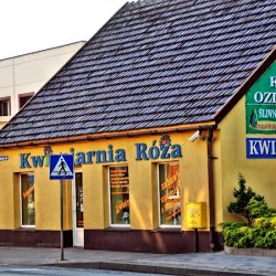 Kwiaciarnia Róża - Krupińska Alina (Nowe Skalmierzyce en Merlo San Luis)