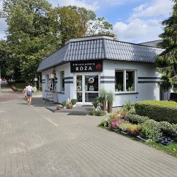 Kwiaciarnia Róża Rypin (Rypin )