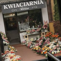 Kwiaciarnia 