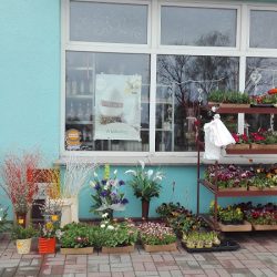 Kwiaciarnia Różana (Zbąszyń en Merlo San Luis)