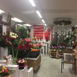 Kwiaciarnia Różana Bielsko-biała - Dostawa: Bielsko, Żywiec, Skoczów, Pszczyna (Bielsko-Biała )
