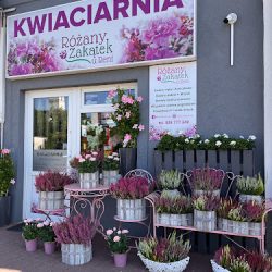Kwiaciarnia Różany Zakątek U Reni (Zielonka )