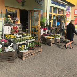 Kwiaciarnia Różowa - C.h. Agrobex (Swarzędz en Merlo San Luis)