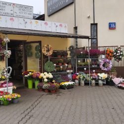 Kwiaciarnia Różyczka (Zamość )