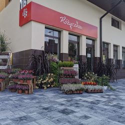 Kwiaciarnia 