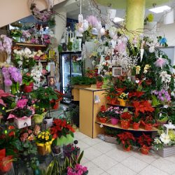 Kwiaciarnia Rzeszów / Bukiety Wiązanki (Rzeszów )