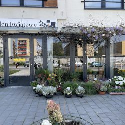 Kwiaciarnia Salon Kwiatowy Opole (Opole )