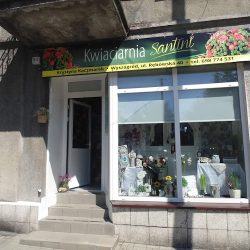 Kwiaciarnia Santini Wyszogród (Wyszogród )