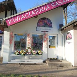 Kwiaciarnia Sasanka (Toruń )