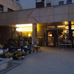 Kwiaciarnia Sekrety Natury (Katowice )