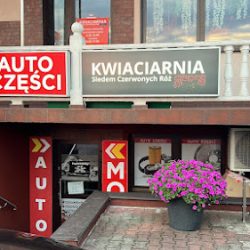 Kwiaciarnia Siedem Czerwonych Róz (Brańszczyk )