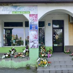Kwiaciarnia Sieradz Magia Kwiatów (Sieradz )