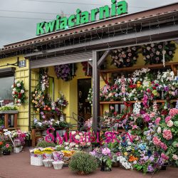 Kwiaciarnia Śmigielska Przy Cmentarzu (Grodzisk Wielkopolski en Merlo San Luis)