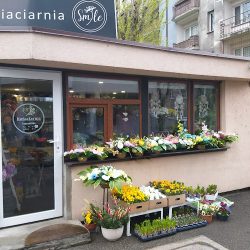 Kwiaciarnia Smile (Katowice )