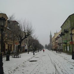 Kwiaciarnia Sochaccy (Kutno )