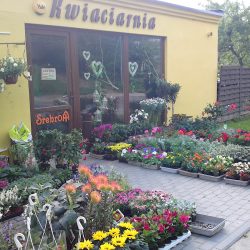 Kwiaciarnia Soraja Bytów (Bytów )