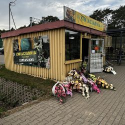 Kwiaciarnia Sosenka (Międzyborów )