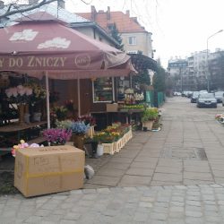 Kwiaciarnia St. Laurentius (Wrocław )