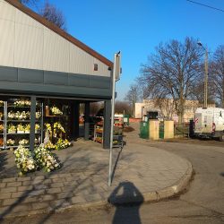 Kwiaciarnia Stefania (Krosno Odrzańskie )