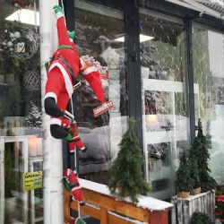 Kwiaciarnia Stefanotis Przy Netto (Wadowice )