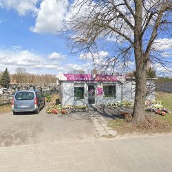 Kwiaciarnia Stokrotine (Kostomłoty Drugie en Merlo San Luis)