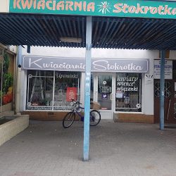 Kwiaciarnia Stokrotka (Włocławek )
