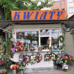 Kwiaciarnia Stokrotka (Kraków )